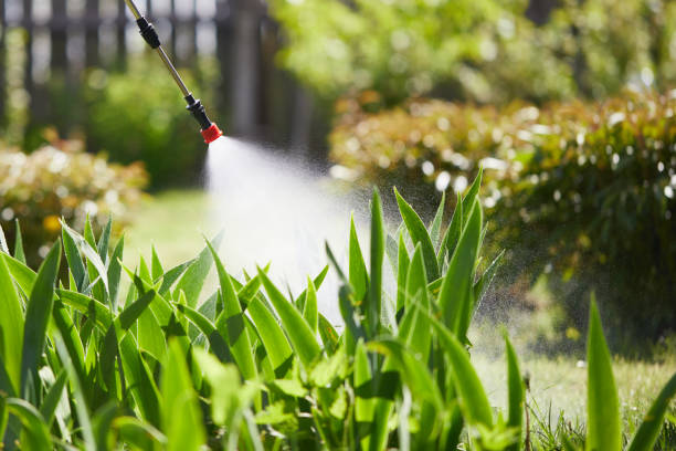 Tamper-Resistant Bait Stations for Rodents in South Wallins