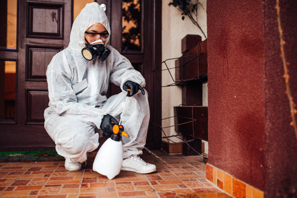 Attic and Crawl Space Rodent Treatment in South Wallins